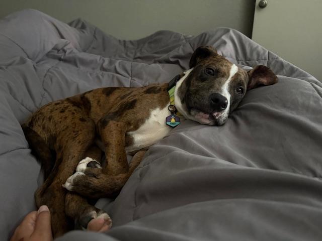 Finley