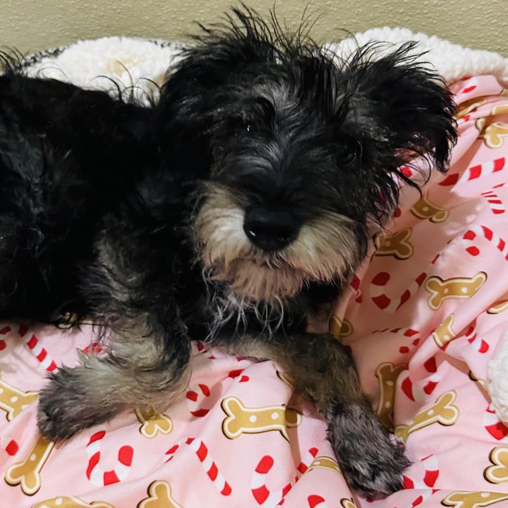 Nicholas Costa Mesa Location thumbnail 3