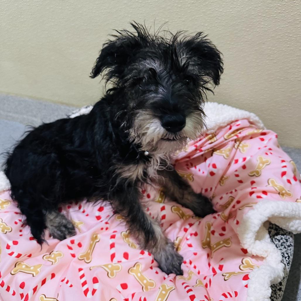 Nicholas Costa Mesa Location thumbnail 4