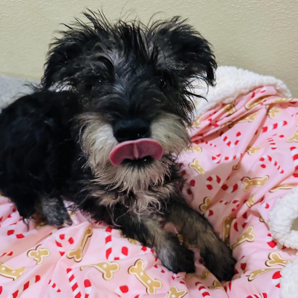 Nicholas Costa Mesa Location thumbnail 5