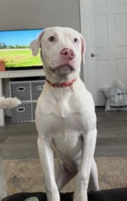 Snow — thumbnail 3