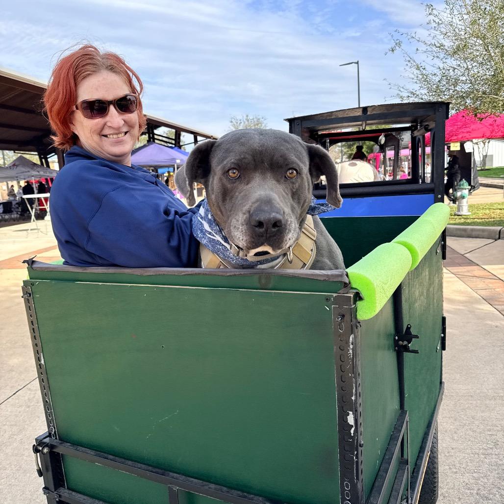 Volkswagen — thumbnail 4