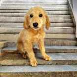 Two Step photo 1