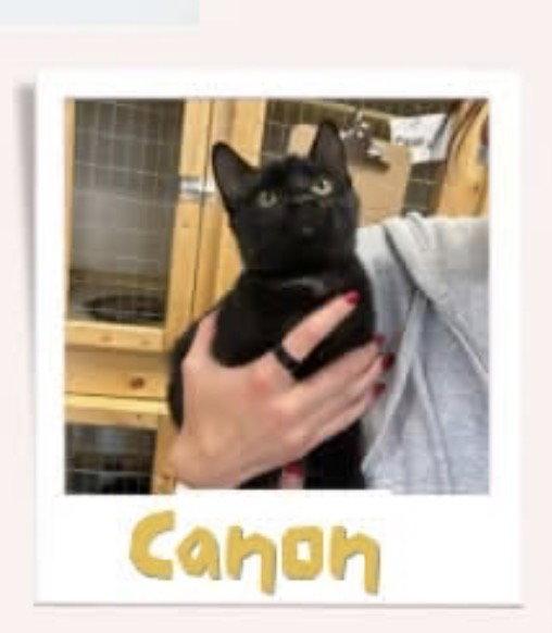 Canon photo