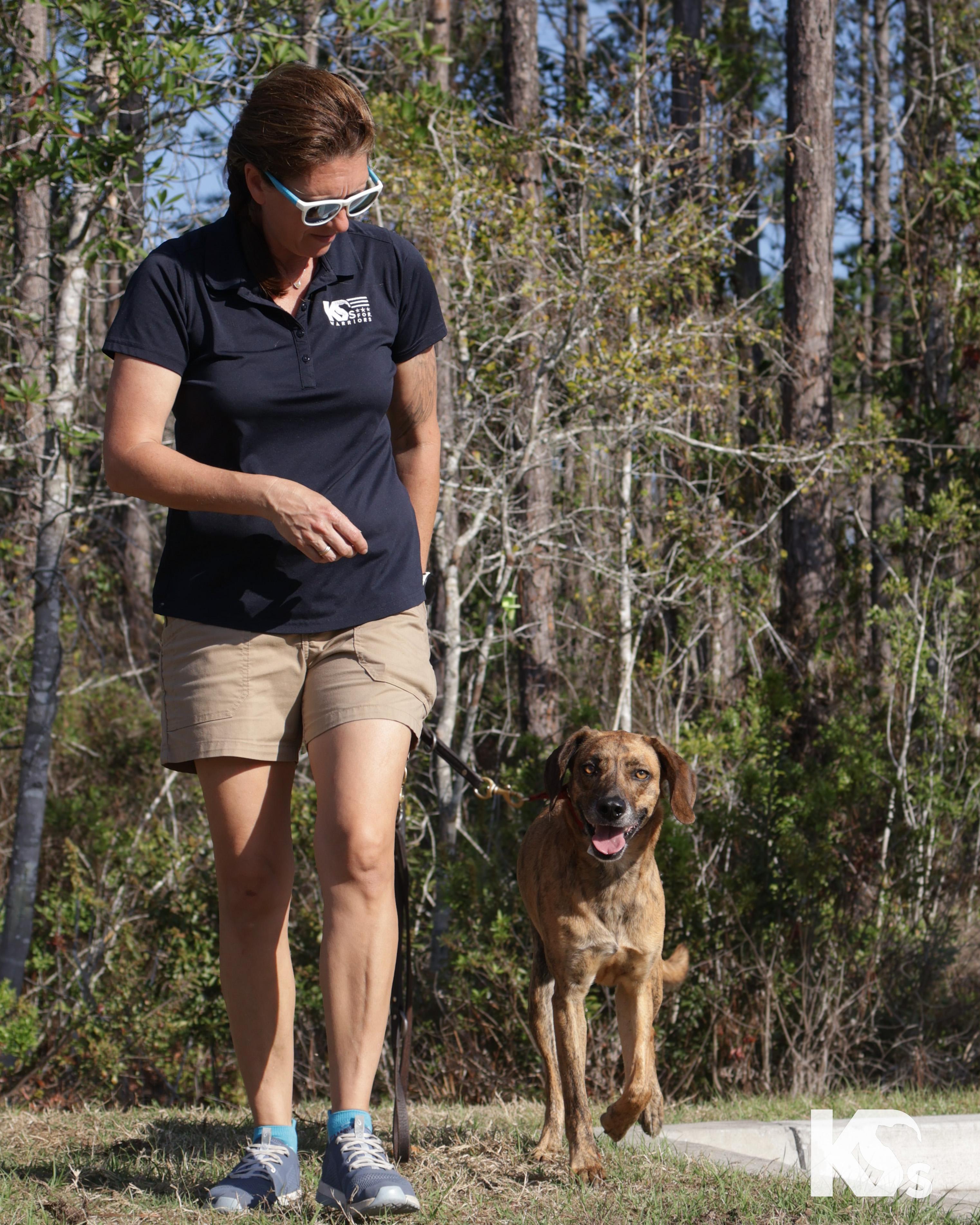 Enlarge Geo, an adopted mixed breed in Ponte Vedra, FL image 4/6