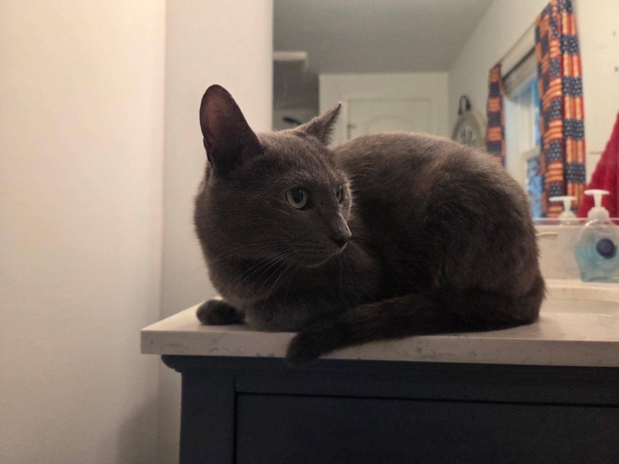 Athena