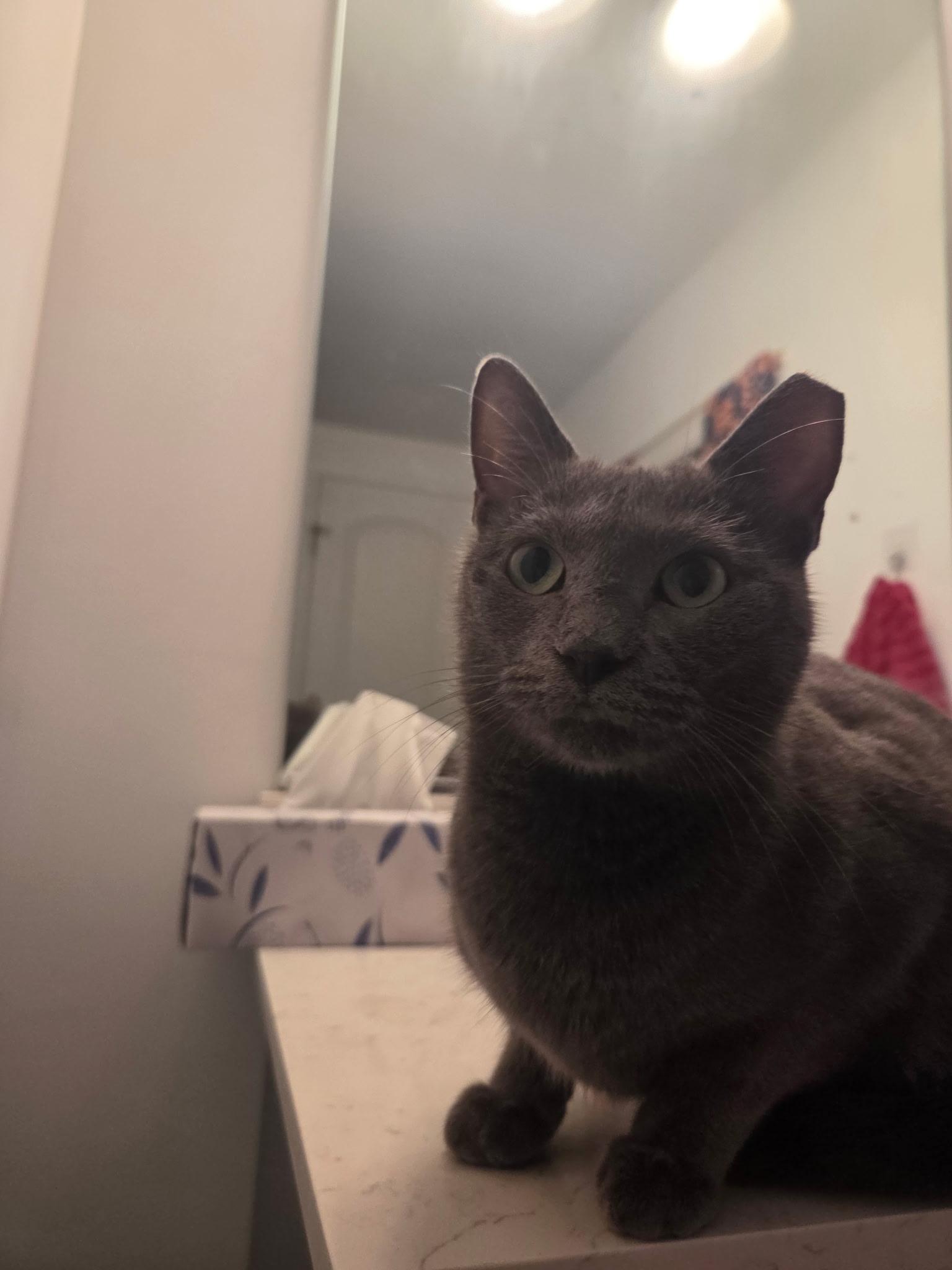 Athena