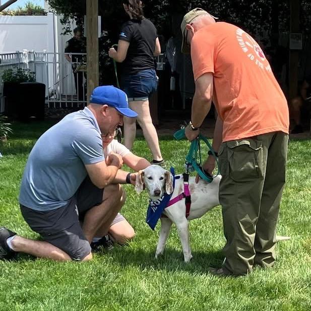 Opalite (CB8), a Adoptable Hound in Windsor, VA image 2/5