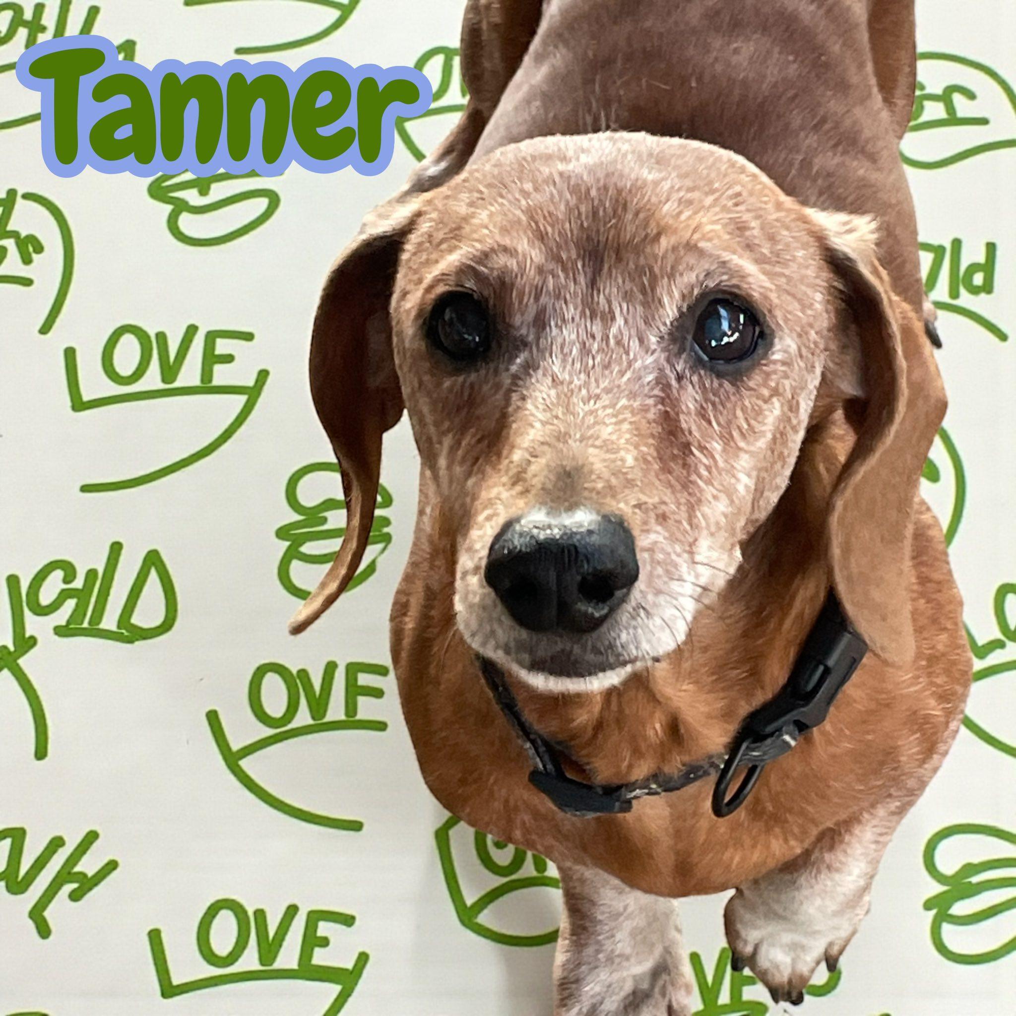 Tanner & Gus Md thumbnail 6