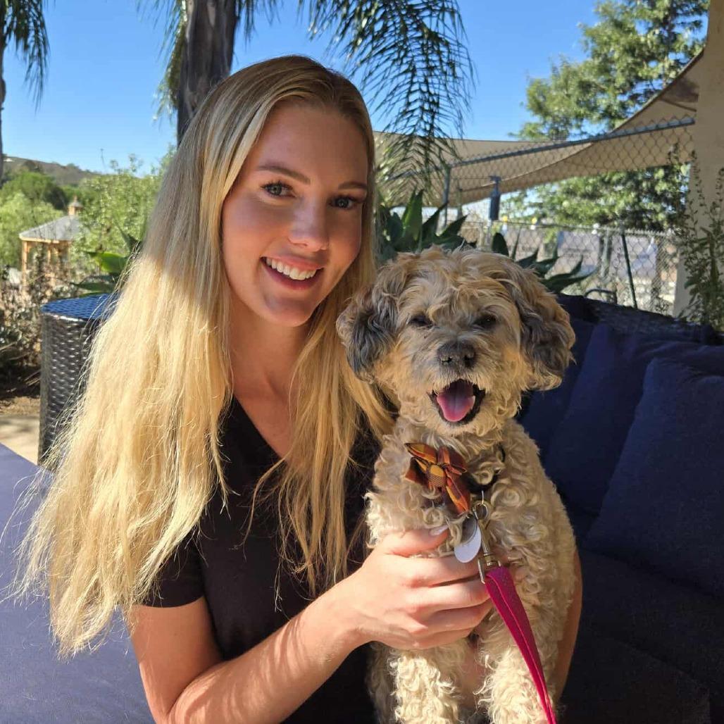 Enlarge Coffee Jane, a Adoptable Poodle in Ramona, CA image 2/6