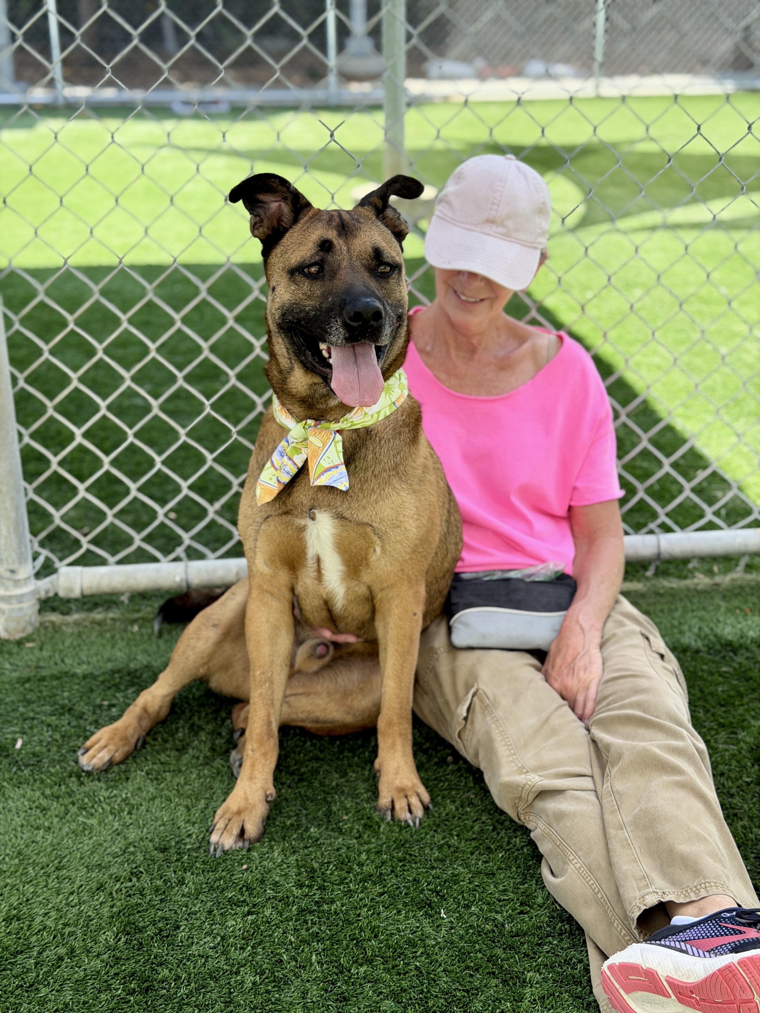 Enlarge Smokey / SOS, a Adopted mixed breed in Rancho Palos Verdes, CA image 5/6