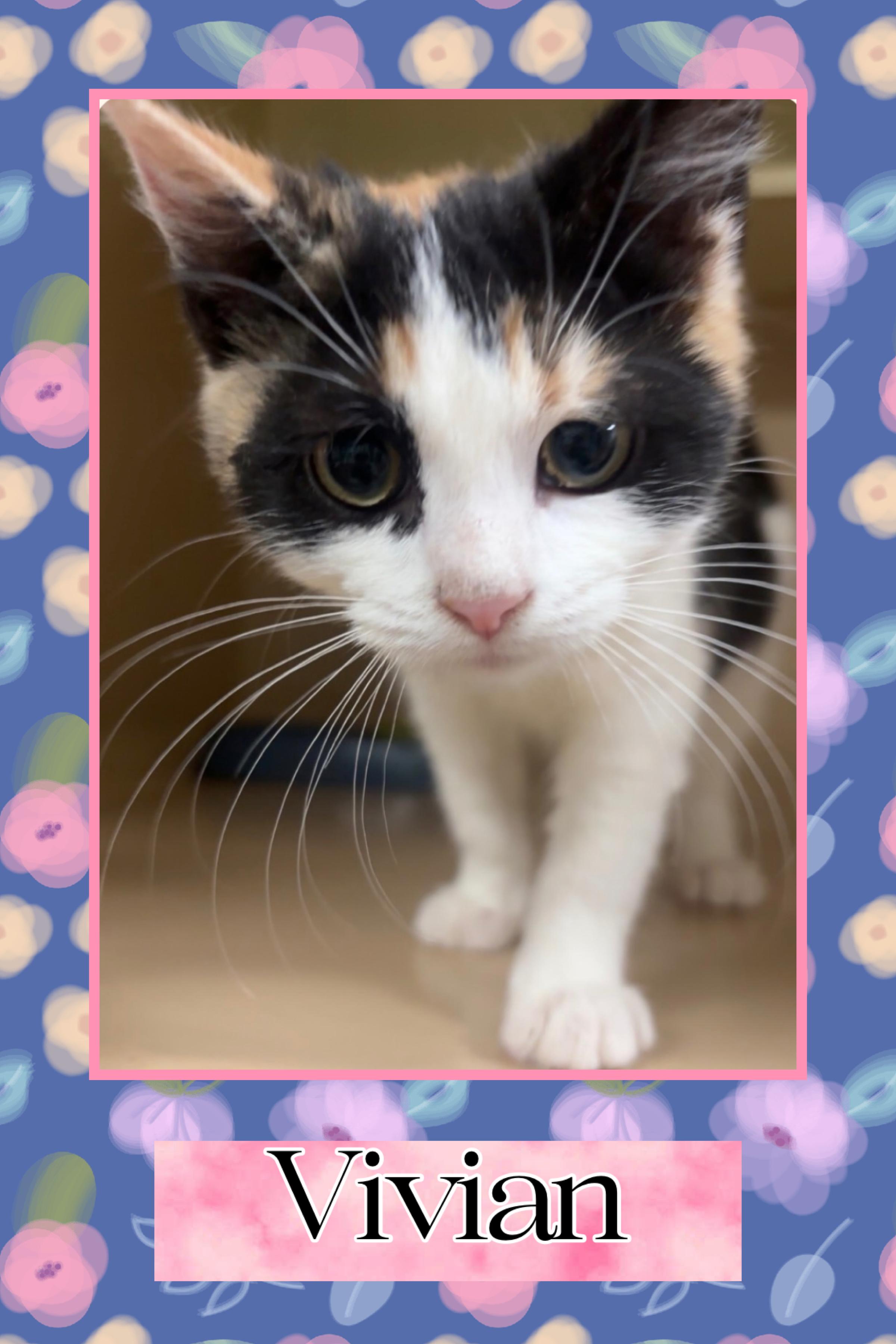 Vivian