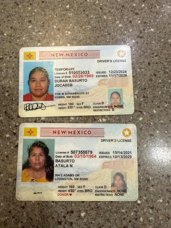 Enlarge Florence, a Adoptable Husky in Hobbs, NM image 3/3