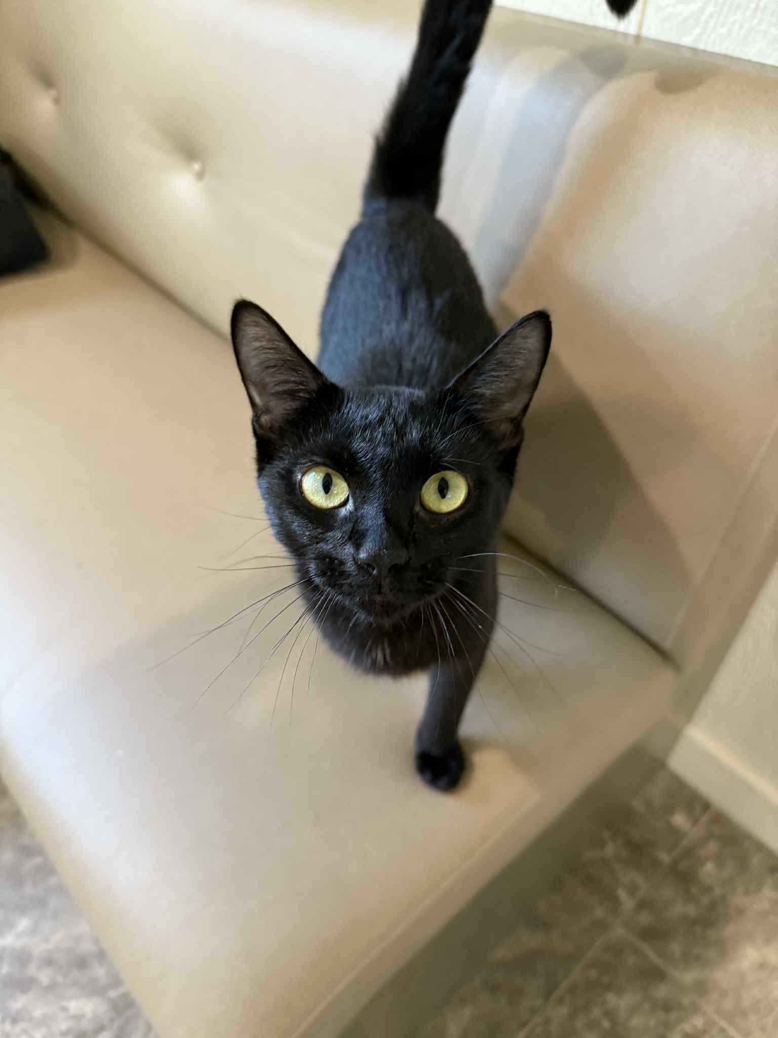 Blair