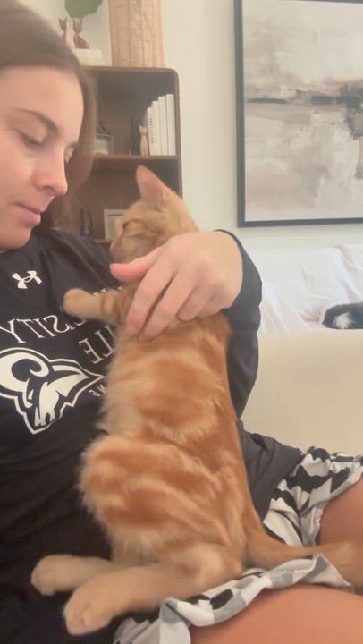 Enlarge Oliver, a Adoptable mixed breed in Atlanta, GA video 5/5
