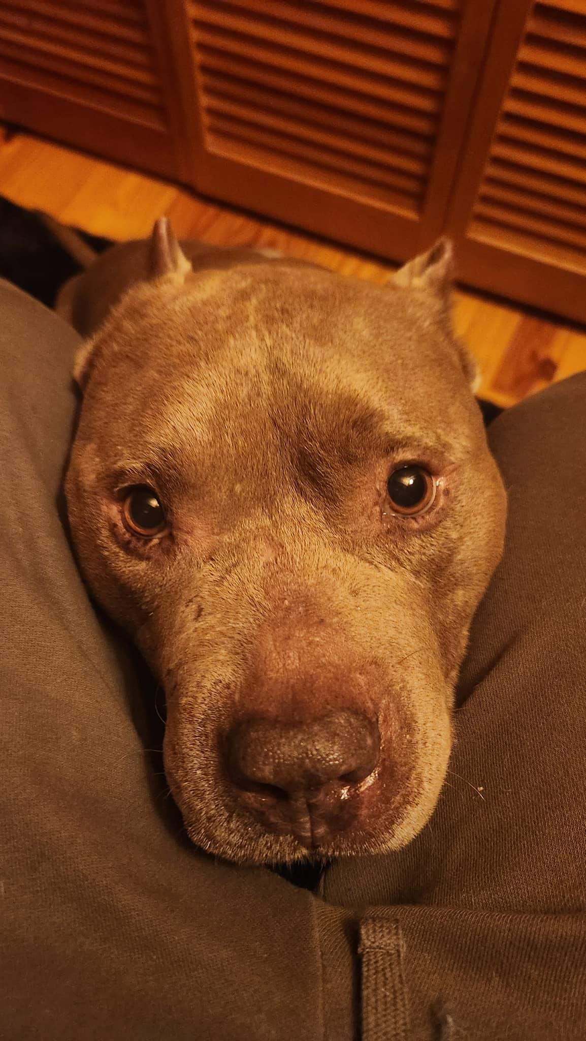 CHAMP photo 3