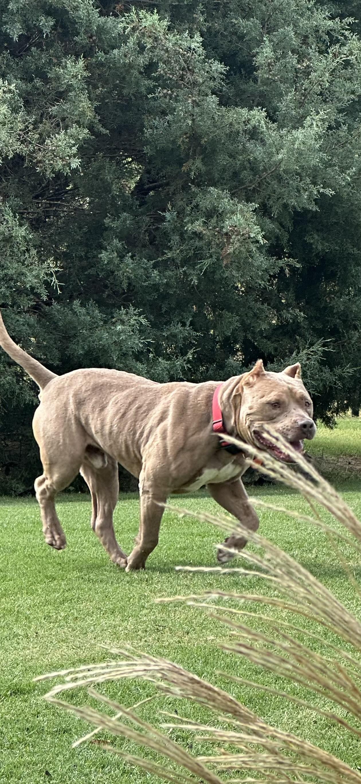 CHAMP photo 6