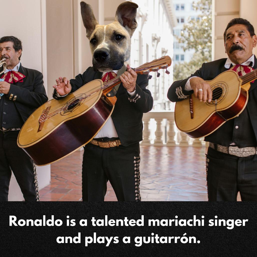 Enlarge Ronaldo, a Adoptable Mixed Breed in Manhattan, KS image 3/6