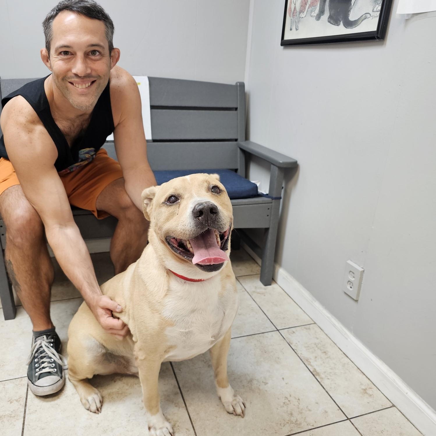 Enlarge Jax, a Adoptable mixed breed in coral gables, FL image 2/5