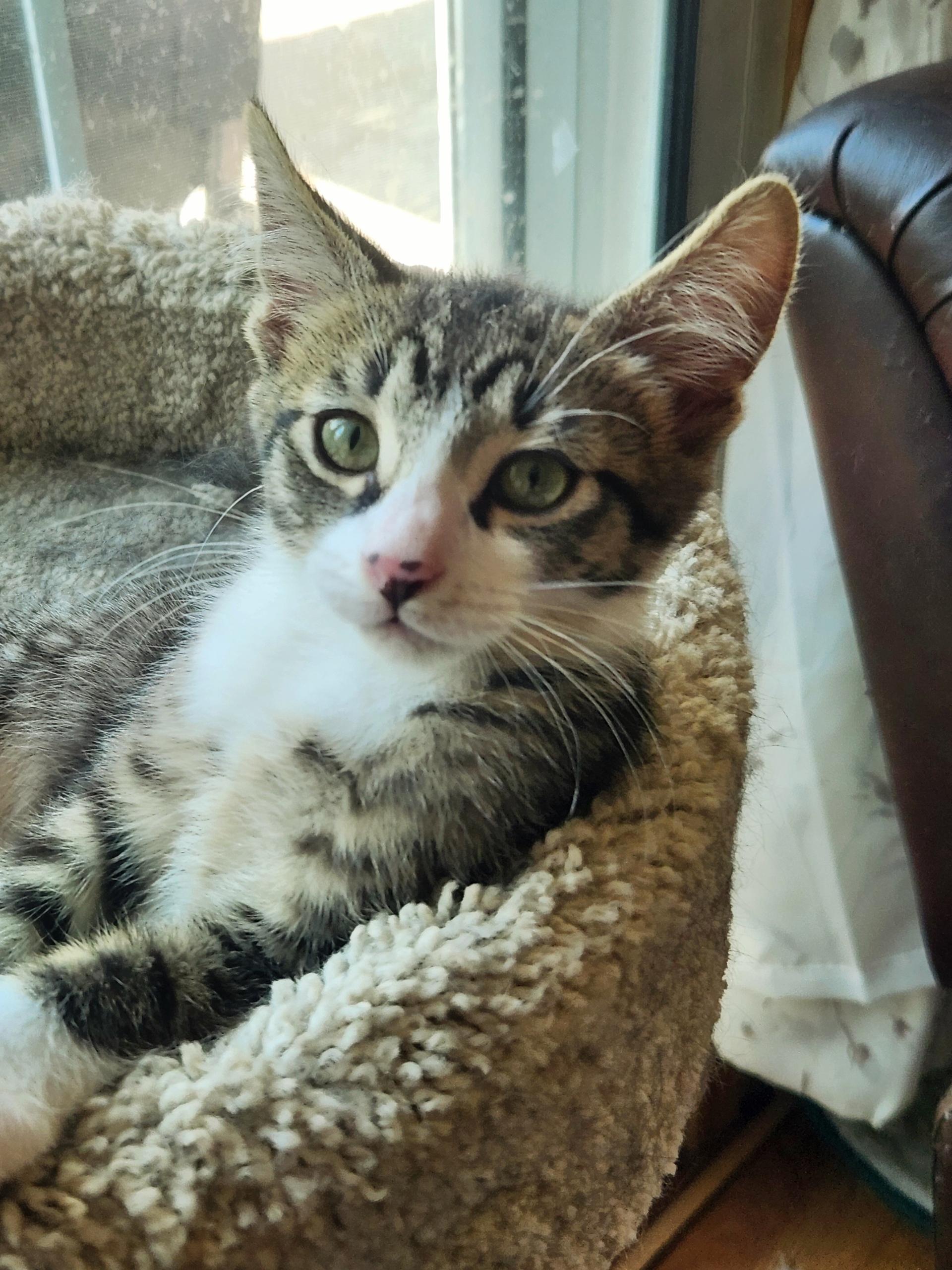Oliver photo 1
