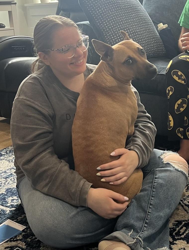 Enlarge Sunny, a Adoptable mixed breed in Willingboro, NJ image 6/6