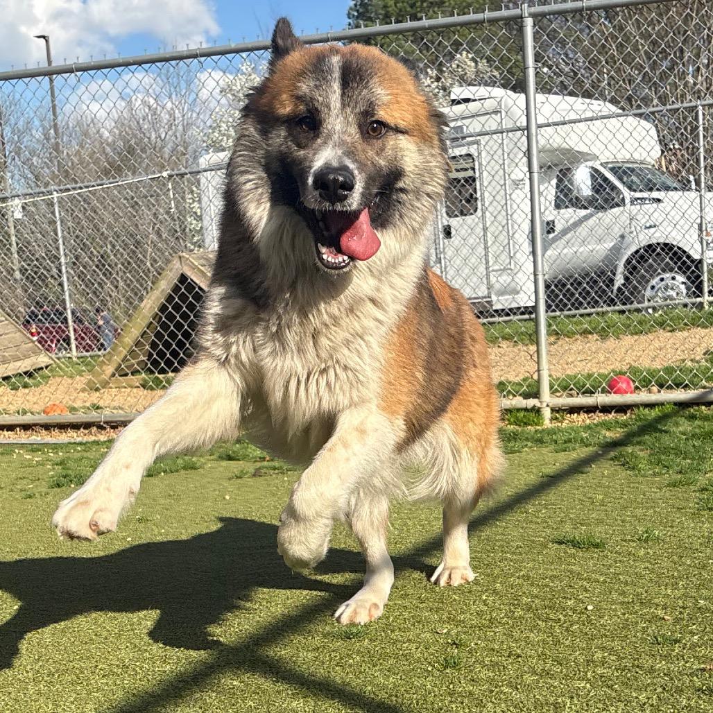 Zane — thumbnail 3