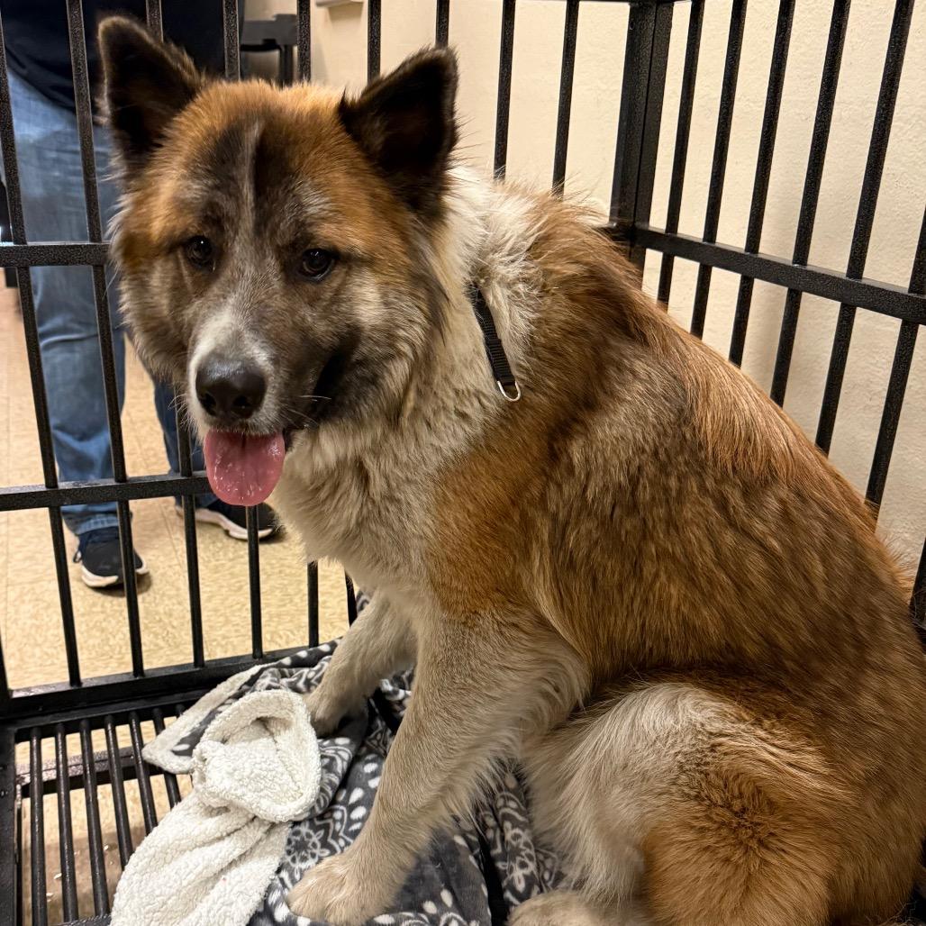 Zane — thumbnail 5