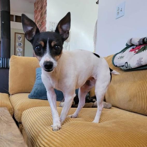 Eviebella thumbnail 3