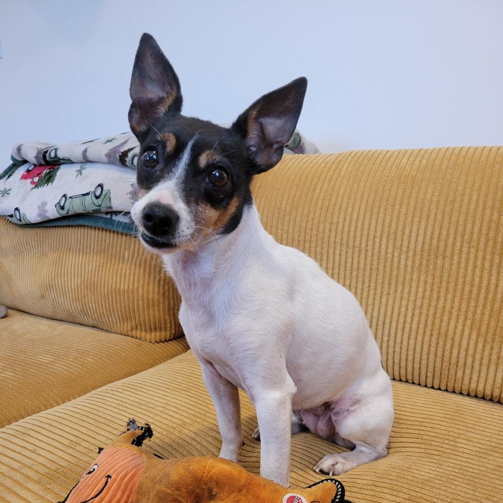 Eviebella thumbnail 5