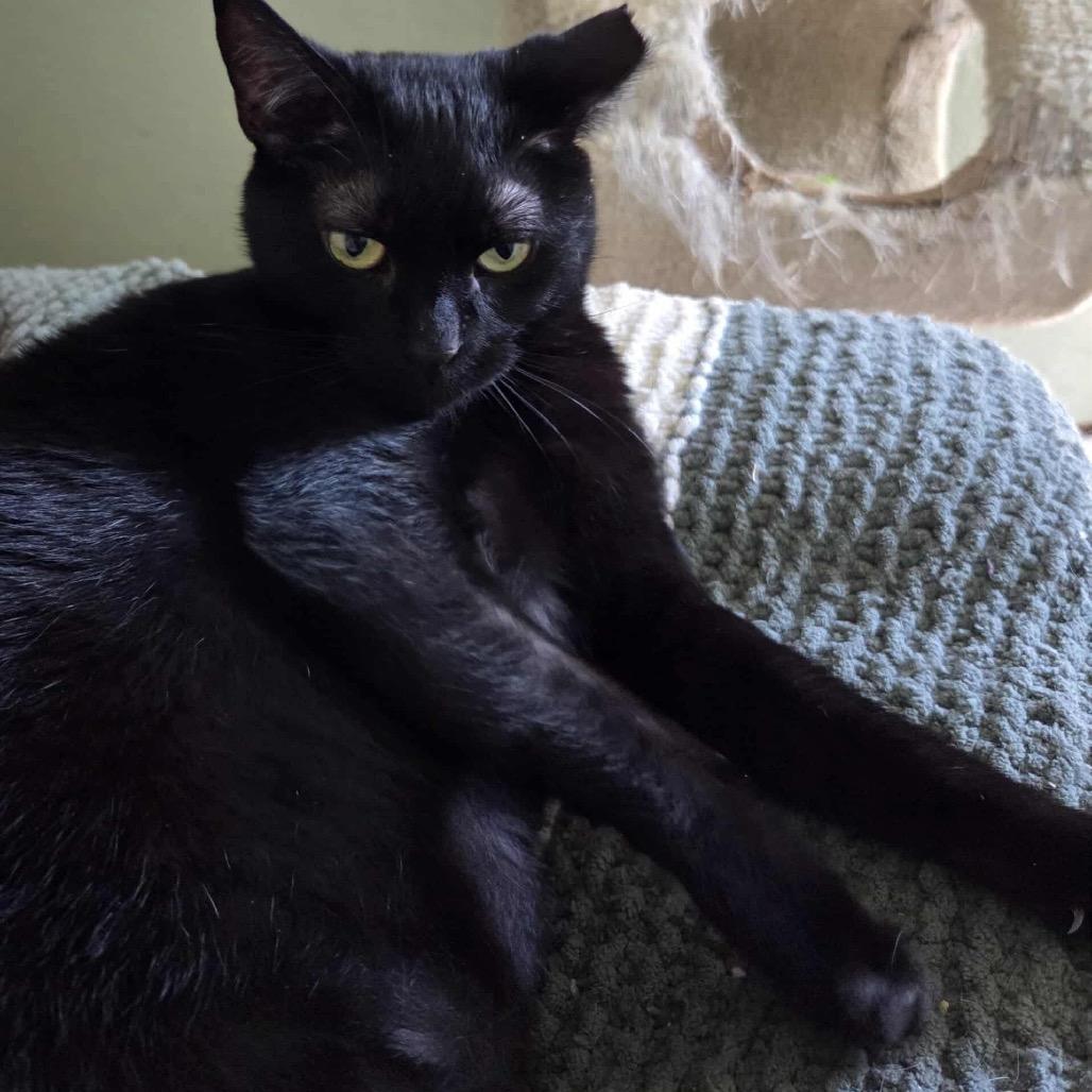 Blarney — thumbnail 3