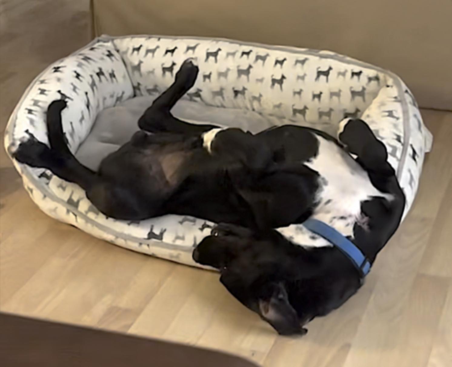 Loreto — thumbnail 5