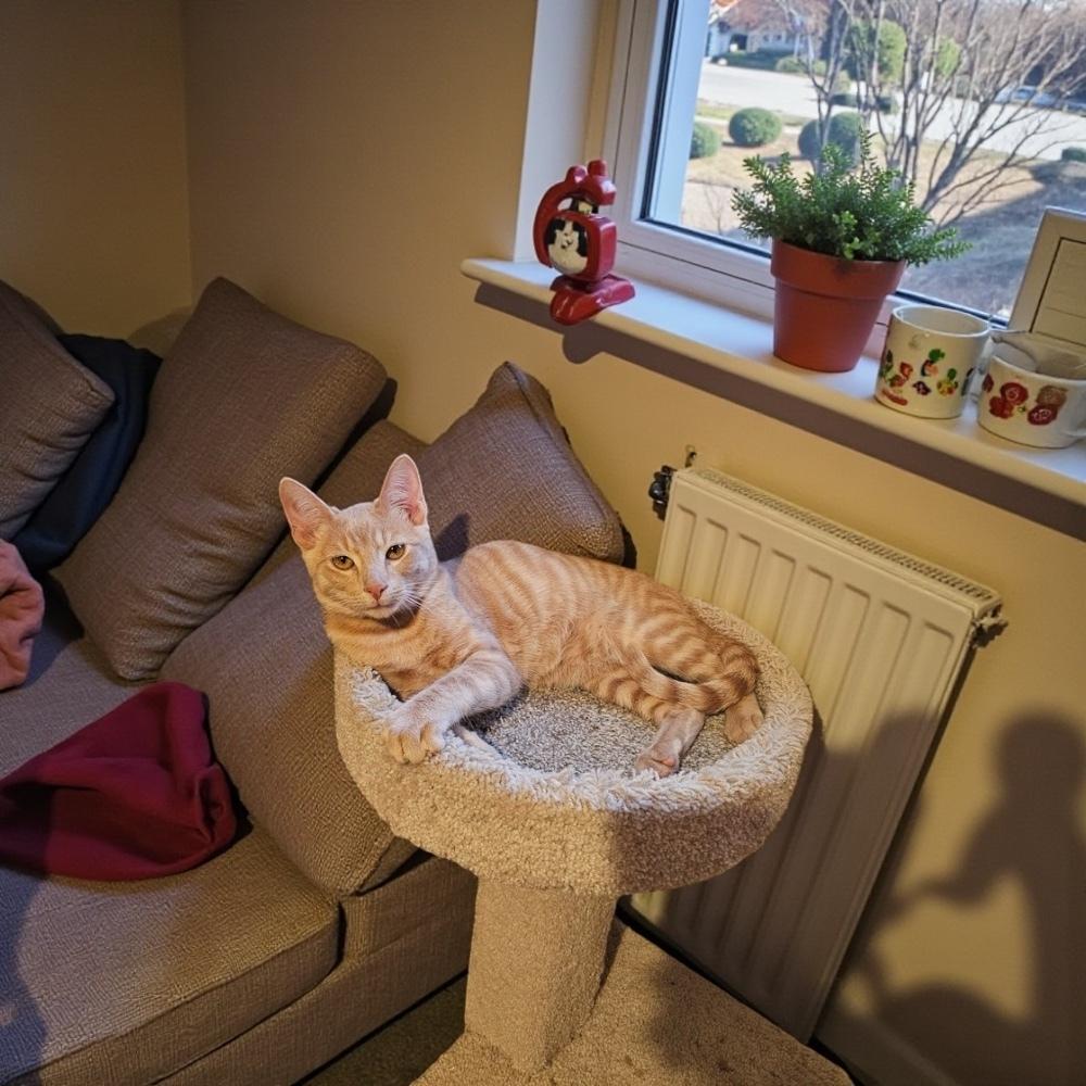 Drubert — thumbnail 2