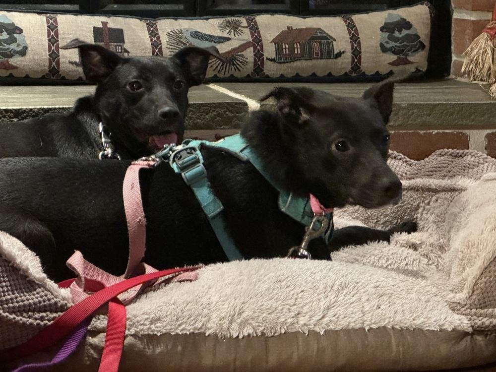 Abilene — thumbnail 3