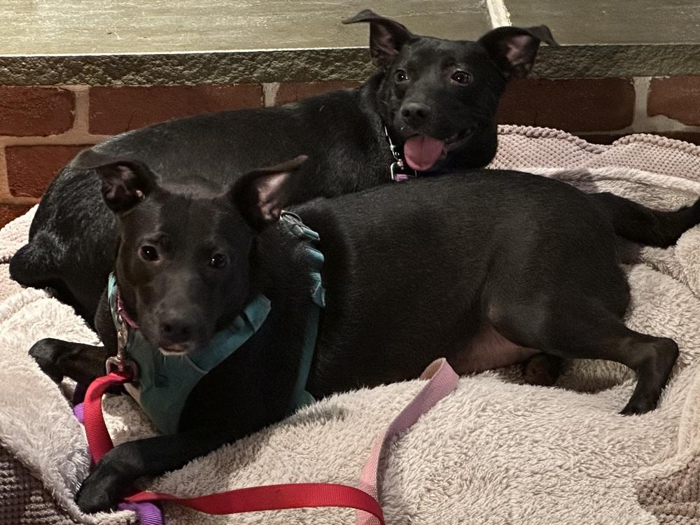 Abilene — thumbnail 6