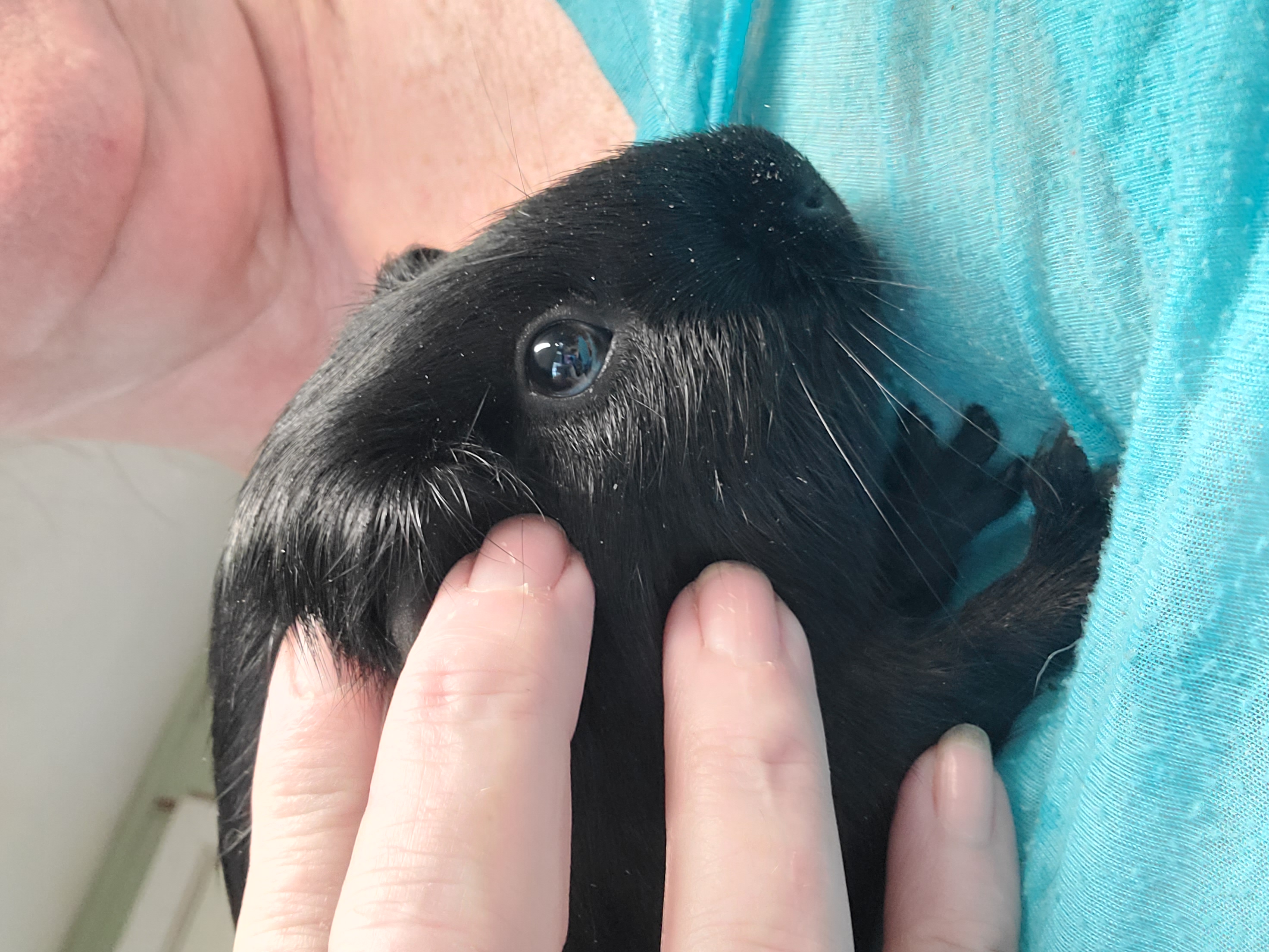 Black Satin Baby Boys