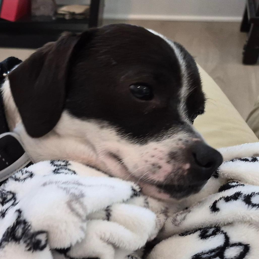 Charleston thumbnail 3