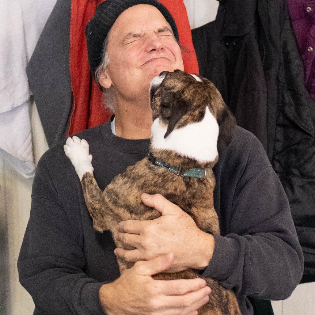 Enlarge Twizzler, a Adoptable Terrier in Irwin, PA image 4/5