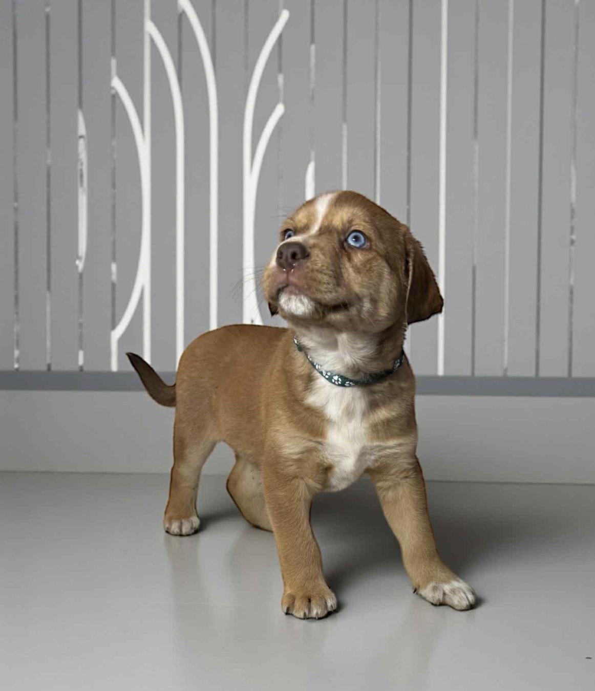 Xavier — thumbnail 3