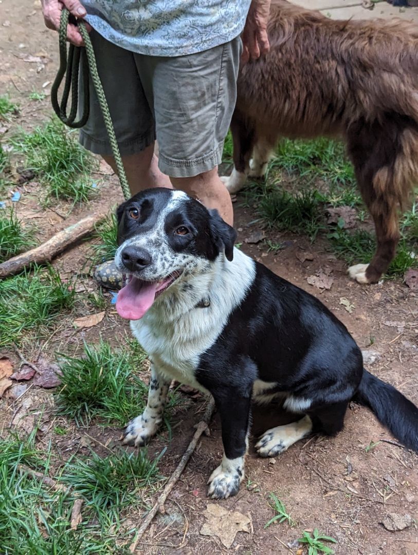 Buddy photo 1