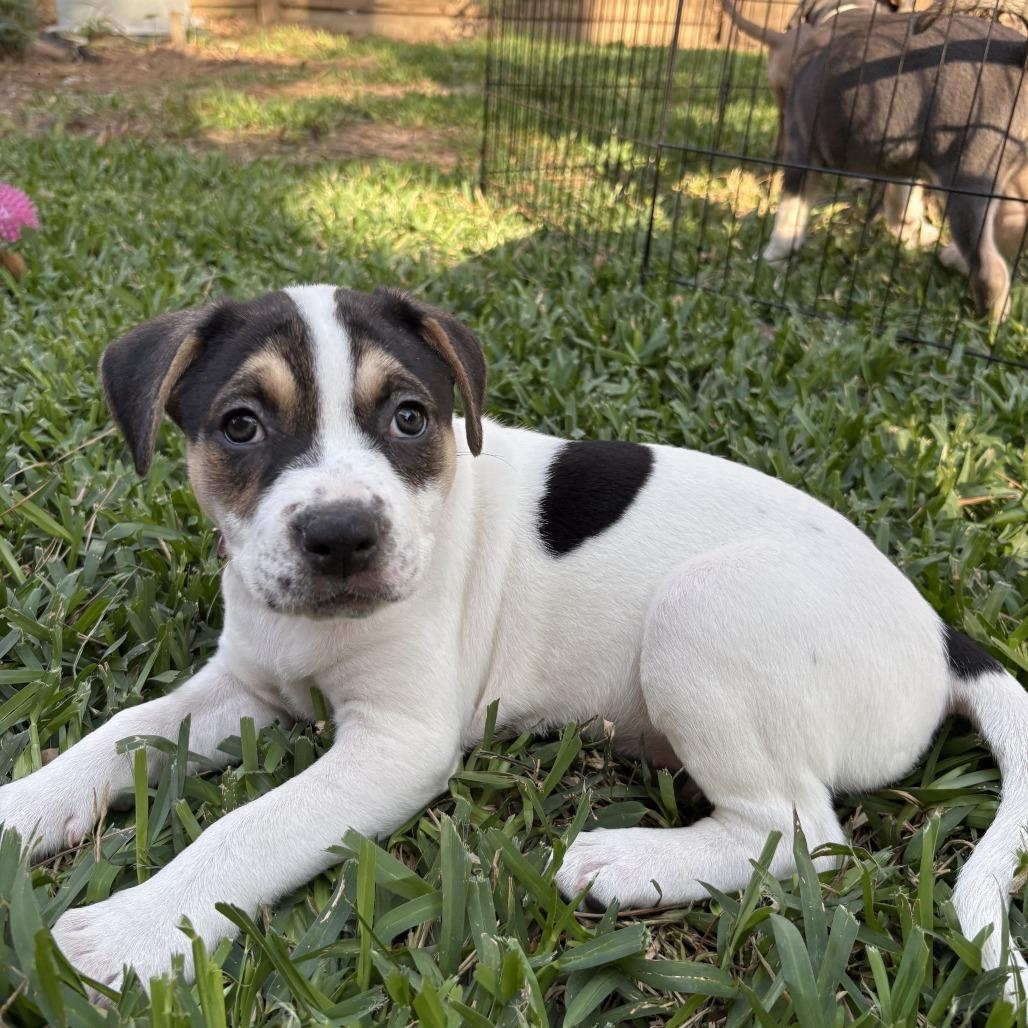 Ivy Grace — thumbnail 3