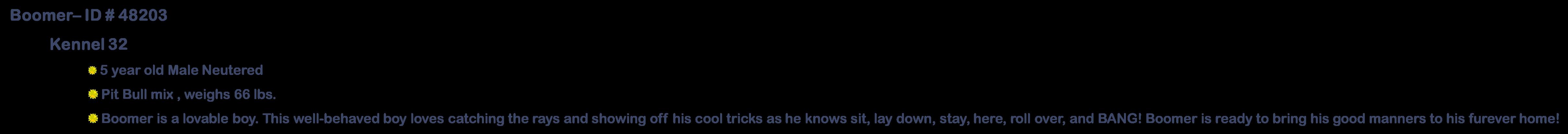 Loretta, a ADOPTABLE mixed breed in Suffolk, VA image 2/3