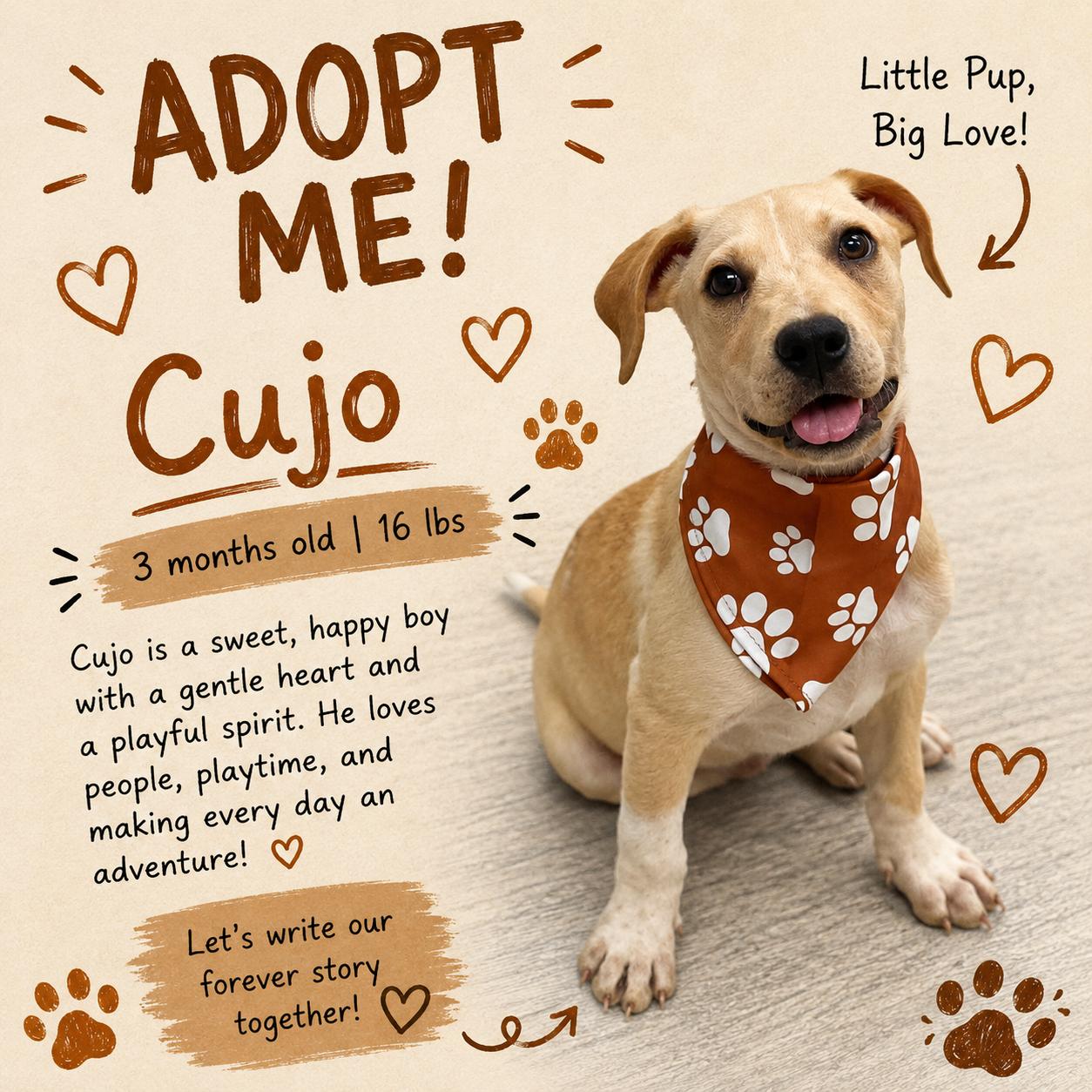 Enlarge Cujo - Local August 28-30, an adoptable mixed breed in Beaverton , OR image 1/1