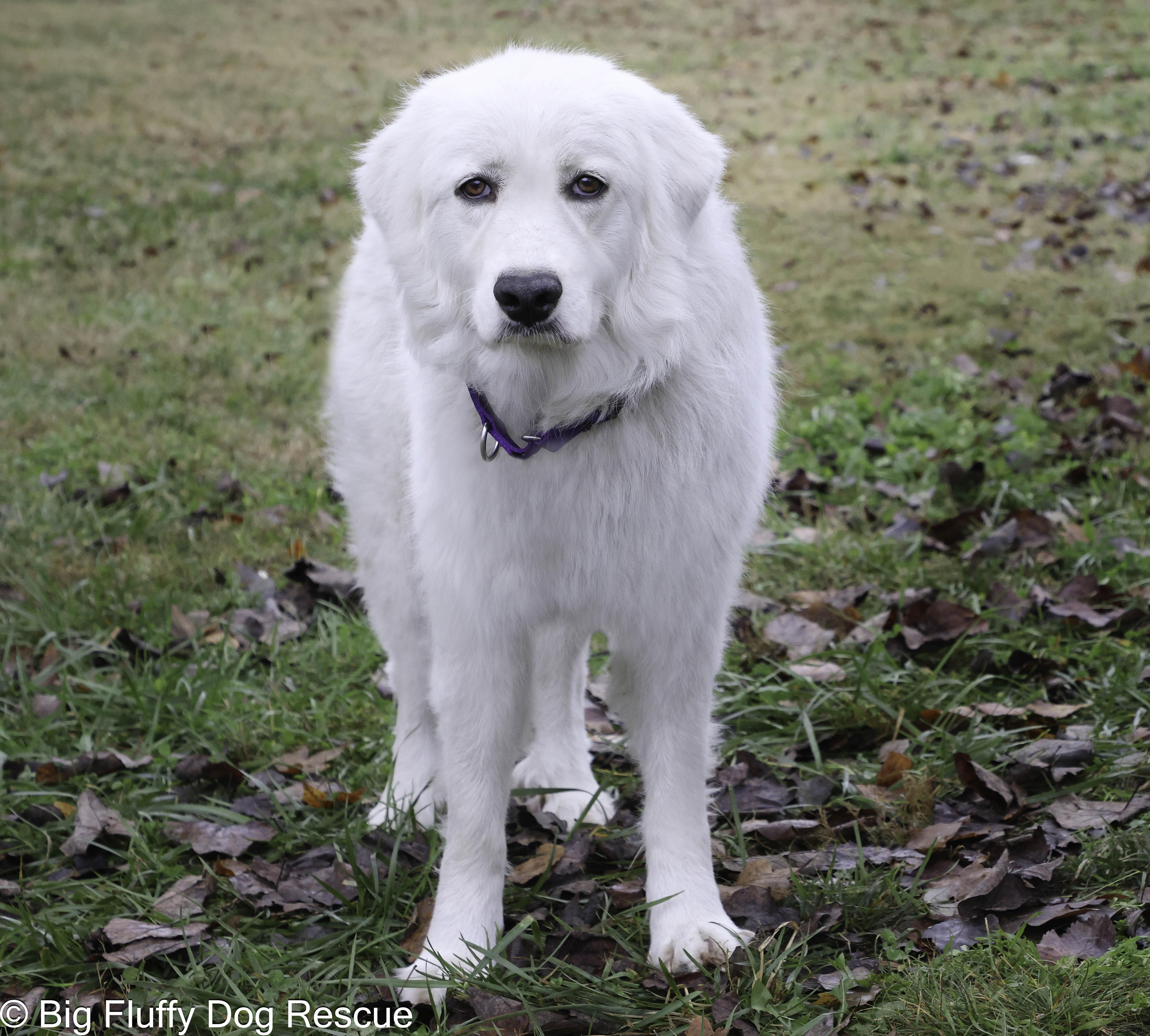 Trinity — thumbnail 2