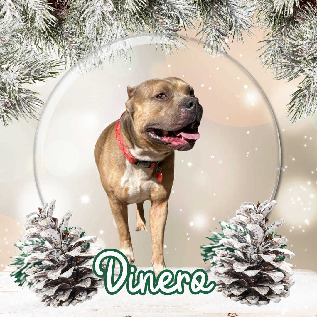 Dinero 2