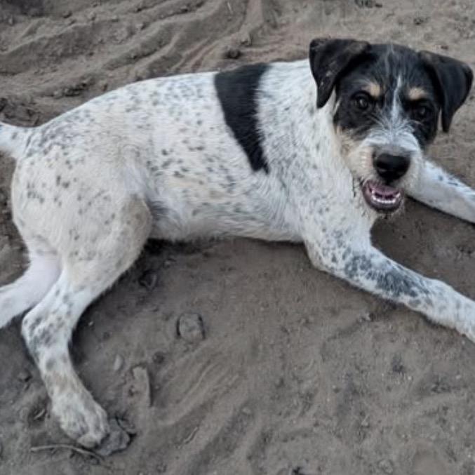 Cam Now Opie thumbnail 4