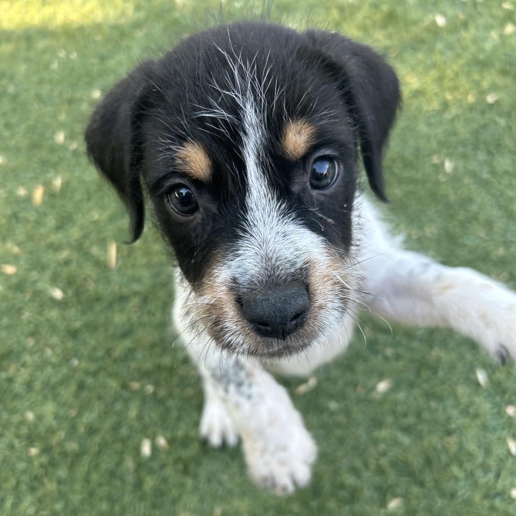 Cam Now Opie thumbnail 6