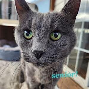 Misty — thumbnail 4