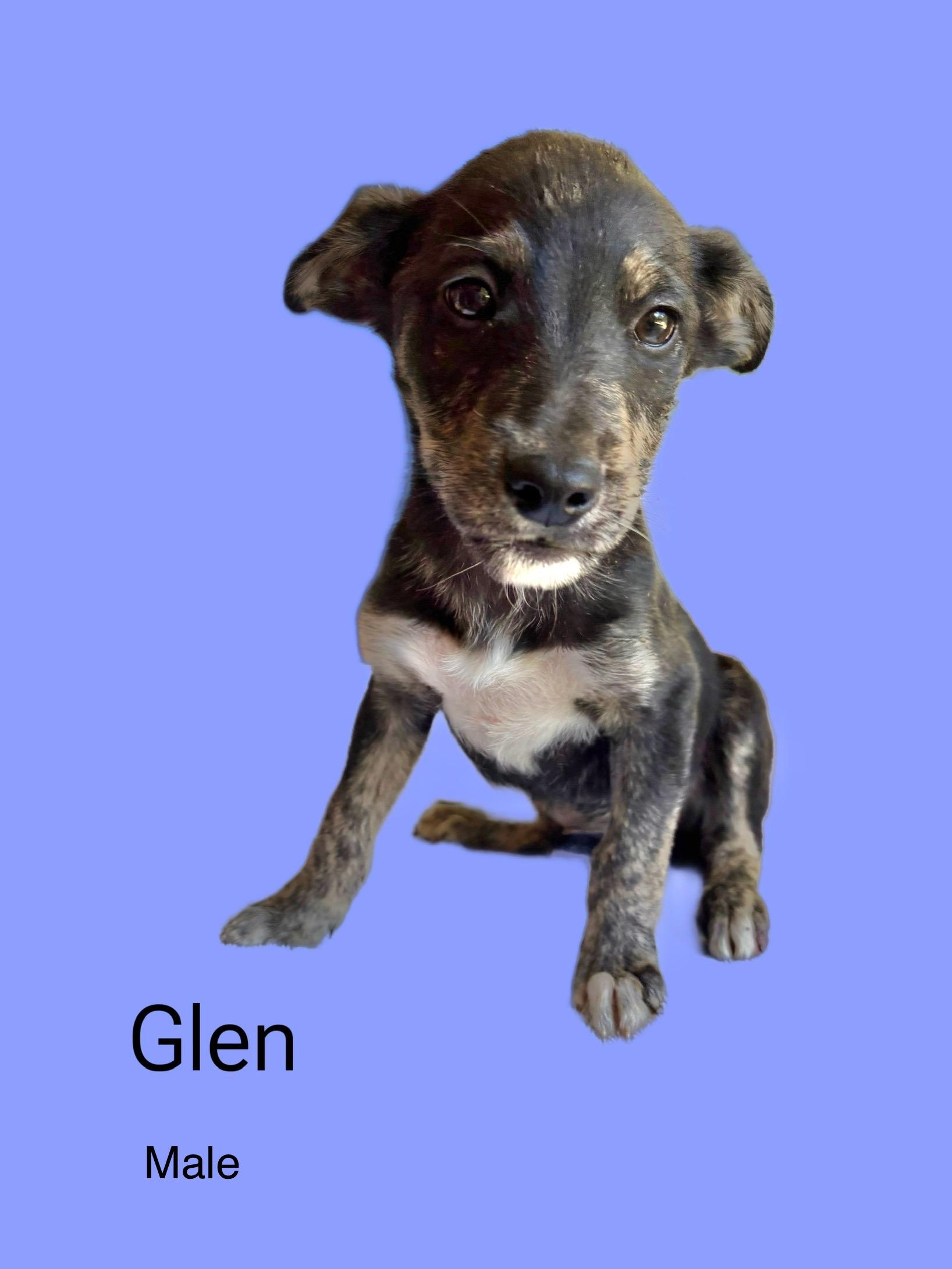 Glen