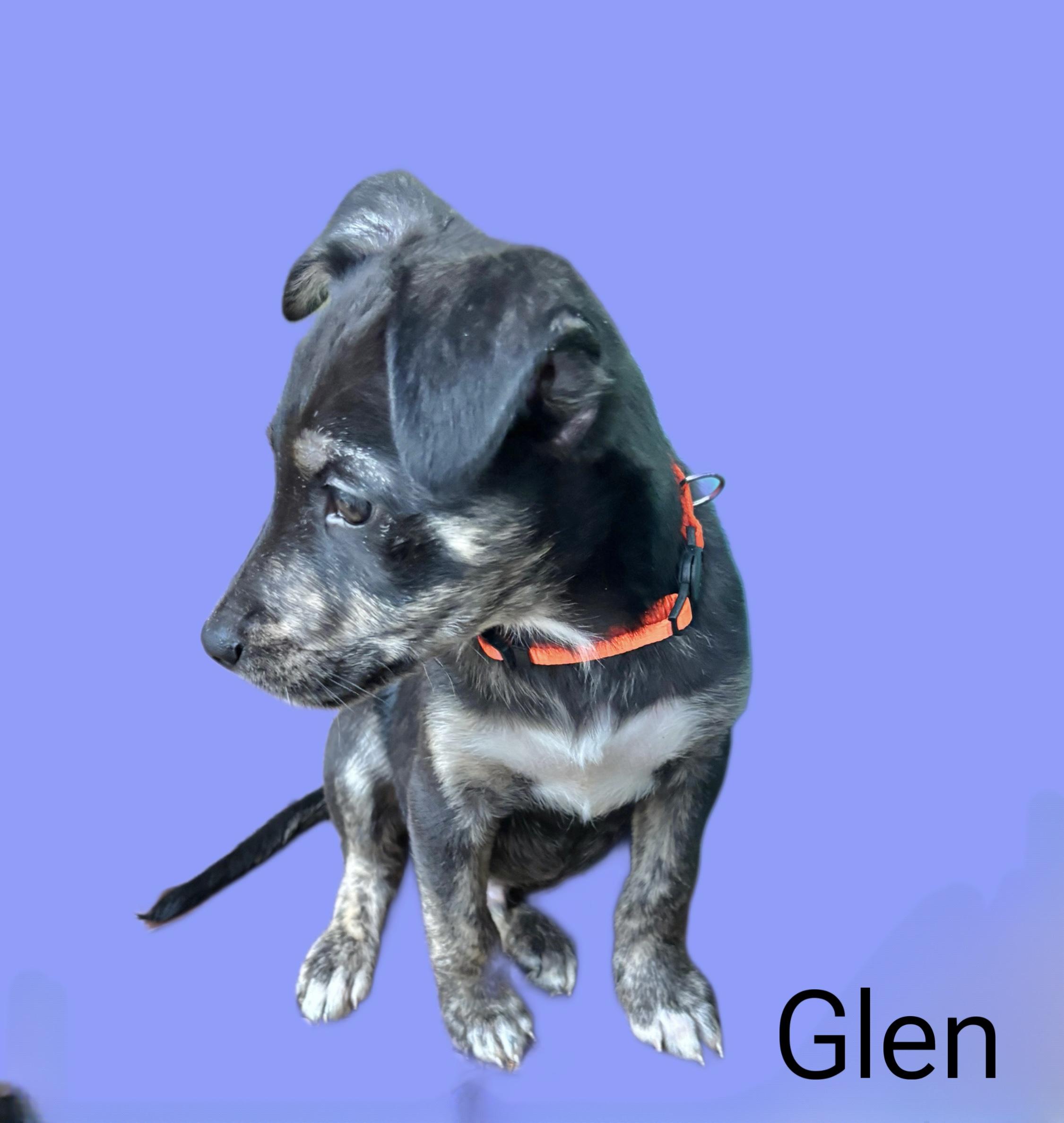 Glen