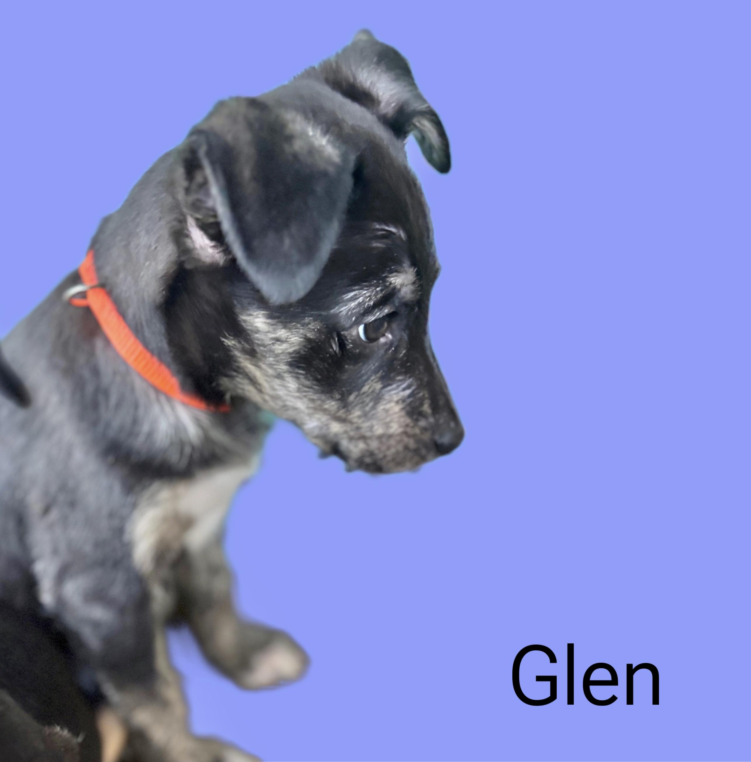 Glen